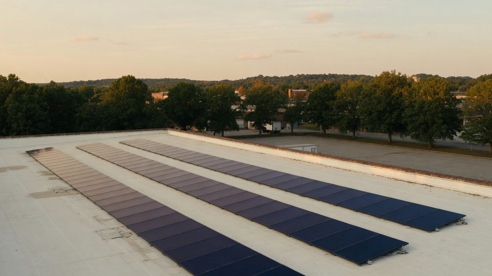 Long rows of solar panels across a large white warehouse roof at golden hour.